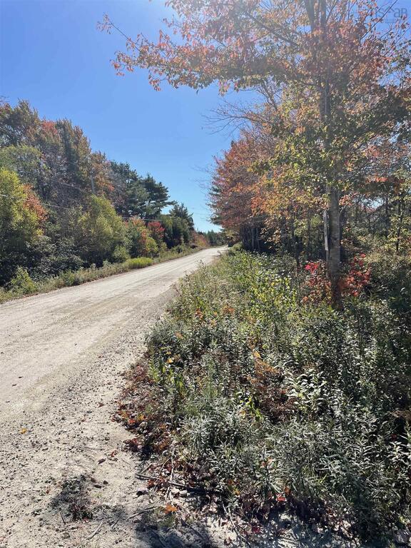 T-1 Upper Clyde Road, Welshtown