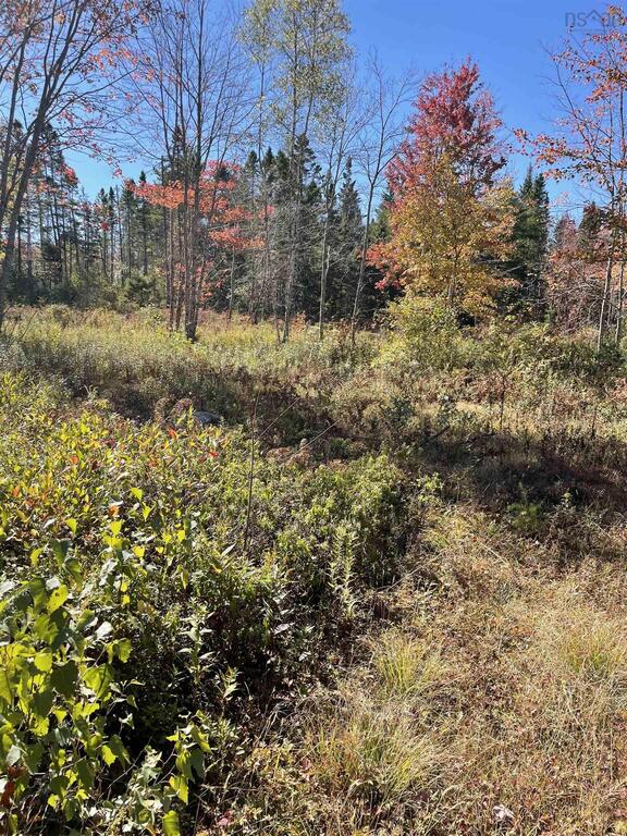 T-1 Upper Clyde Road, Welshtown - photo 2