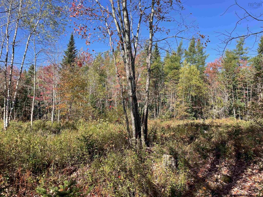 T-1 Upper Clyde Road, Welshtown - photo 3