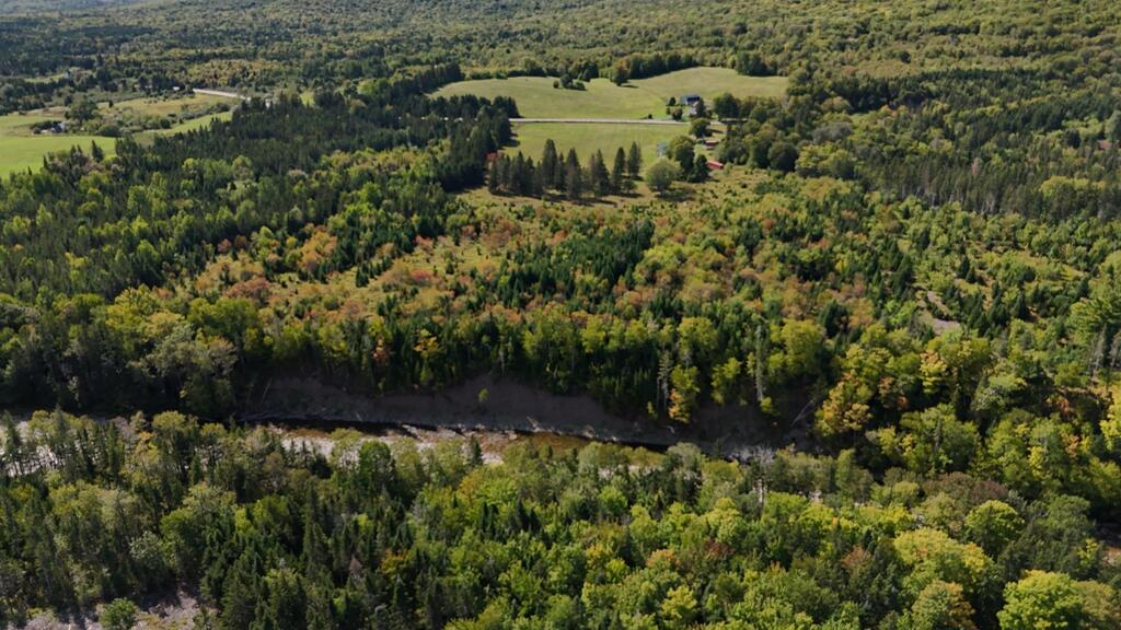 1047 West Side Middle River Road, Middle River - photo 3