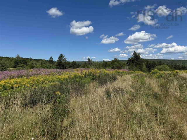 5907 395 Highway, South West Margaree