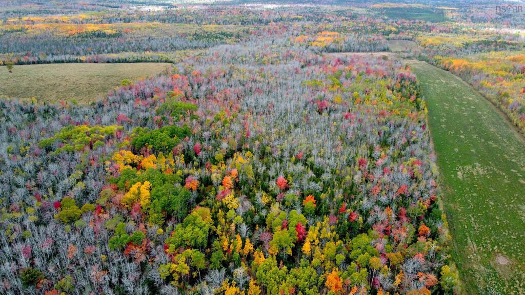 Lot 87-a&amp;b Highway 2 Highway, Milford - photo 2