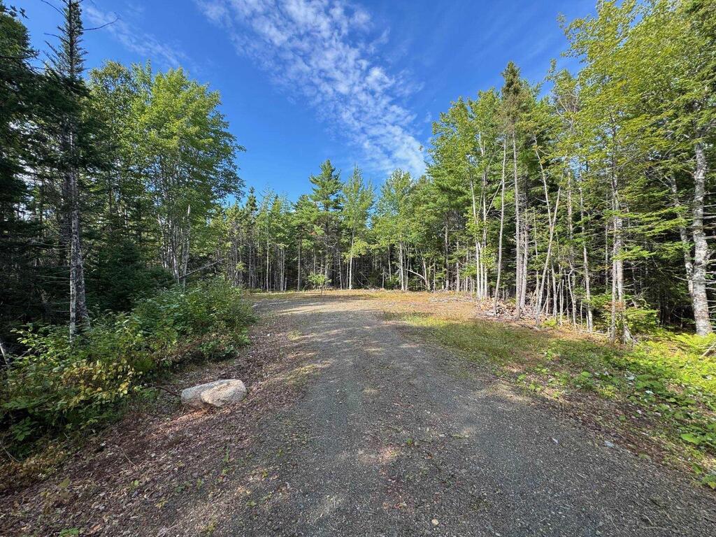  Marble Mountain Road, Big Harbour - photo 3