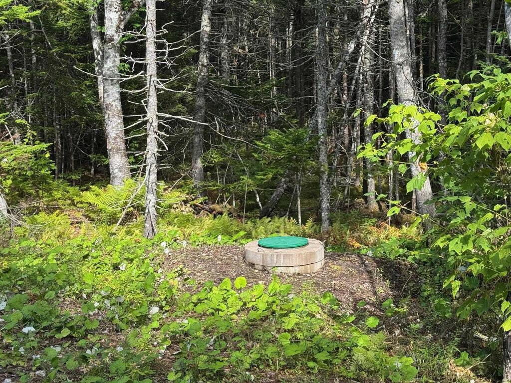  Marble Mountain Road, Big Harbour - photo 4