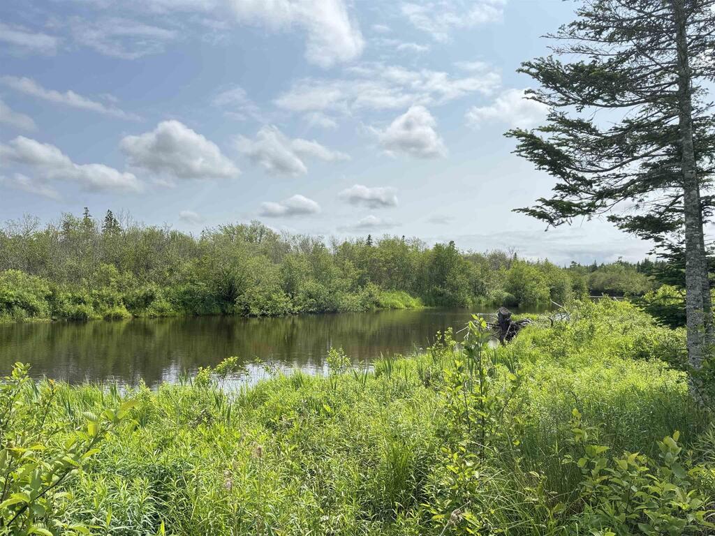  Barren Road, River Denys - photo 3