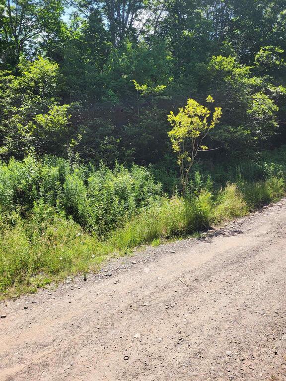  Highway 215 Urbania, Urbania - photo 2