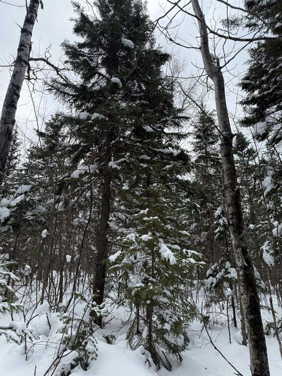 Unit 1  Barren Road, Seal Cove - photo 4