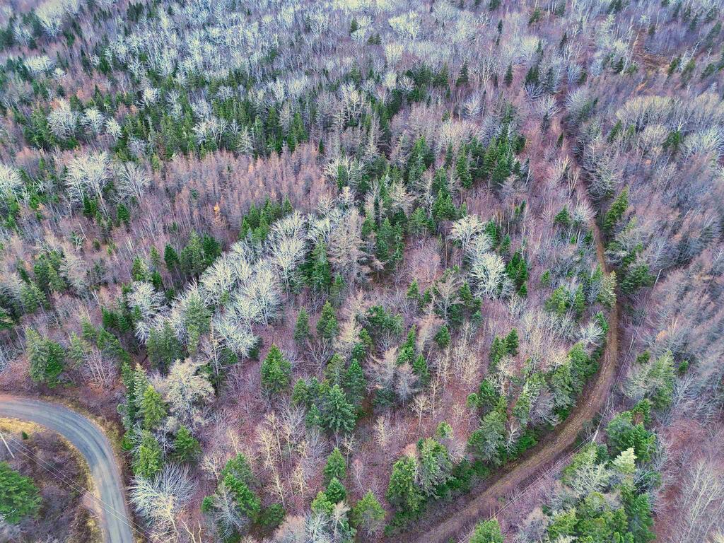  Maceachern Road, Judique North - photo 4