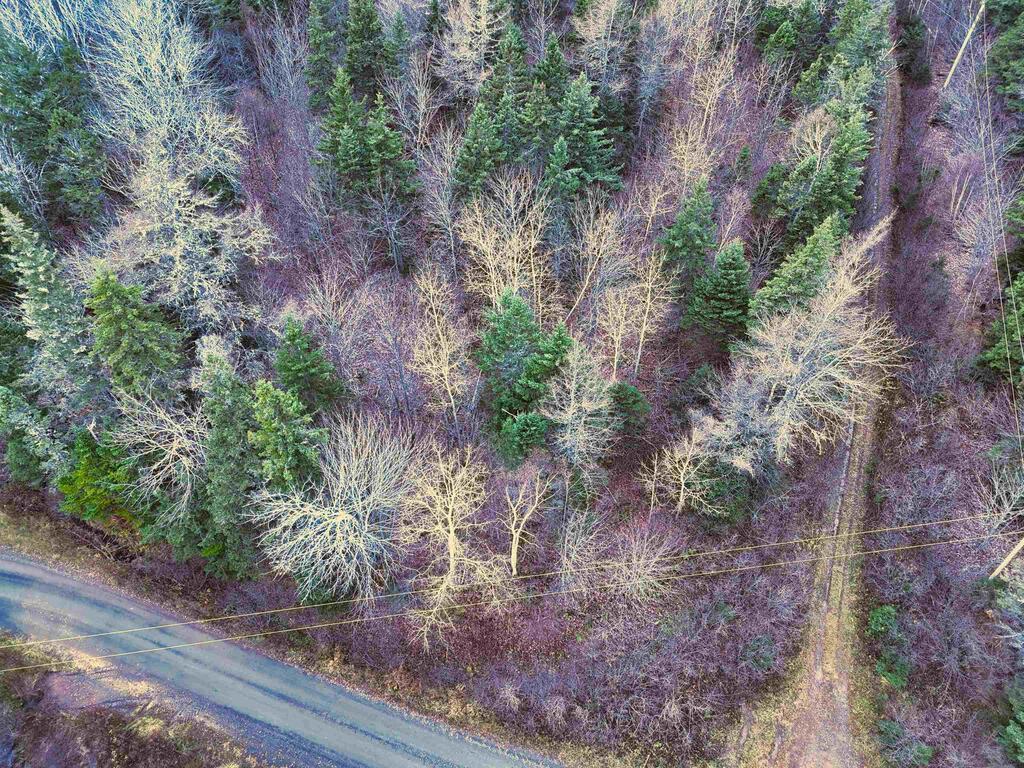  Maceachern Road, Judique North - photo 2