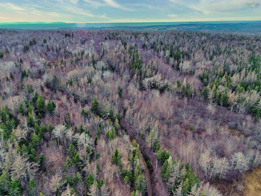  Maceachern Road, Judique North - photo 4