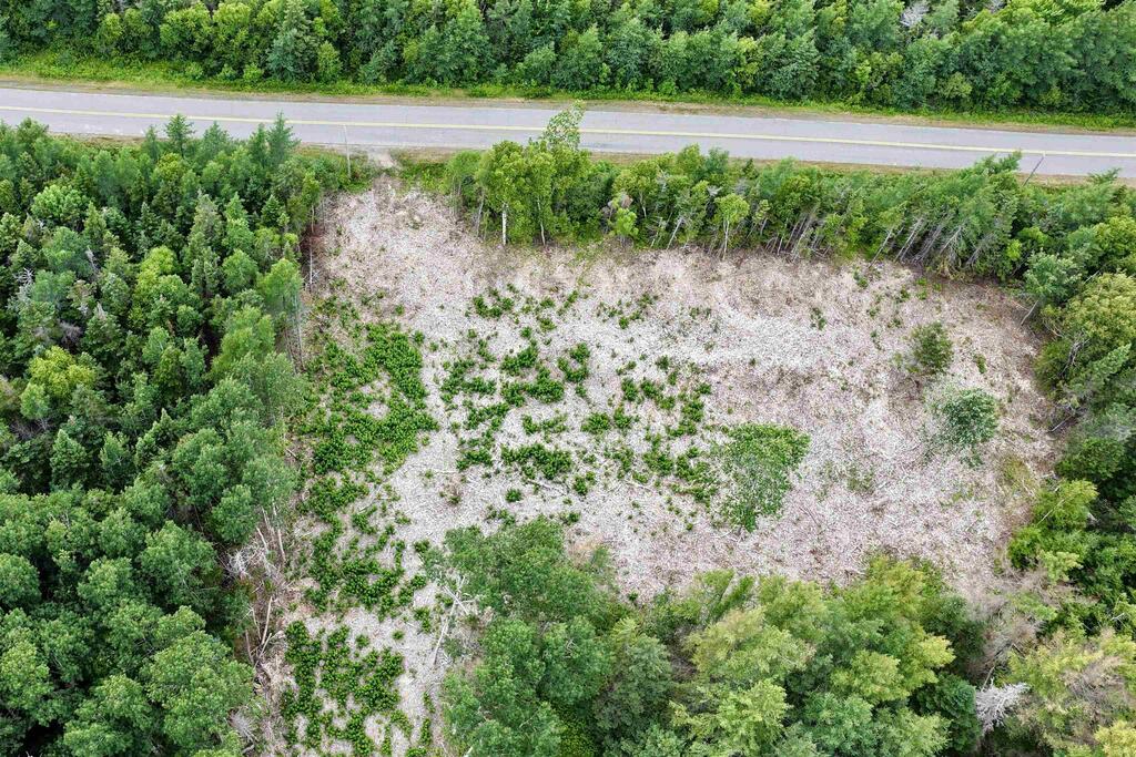 24-2 Shore Road, Judique - photo 2