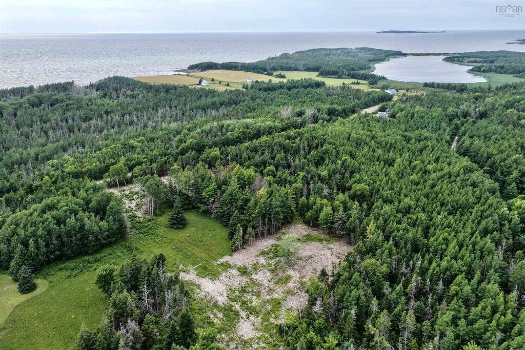 24-1 Shore Road, Judique - photo 3