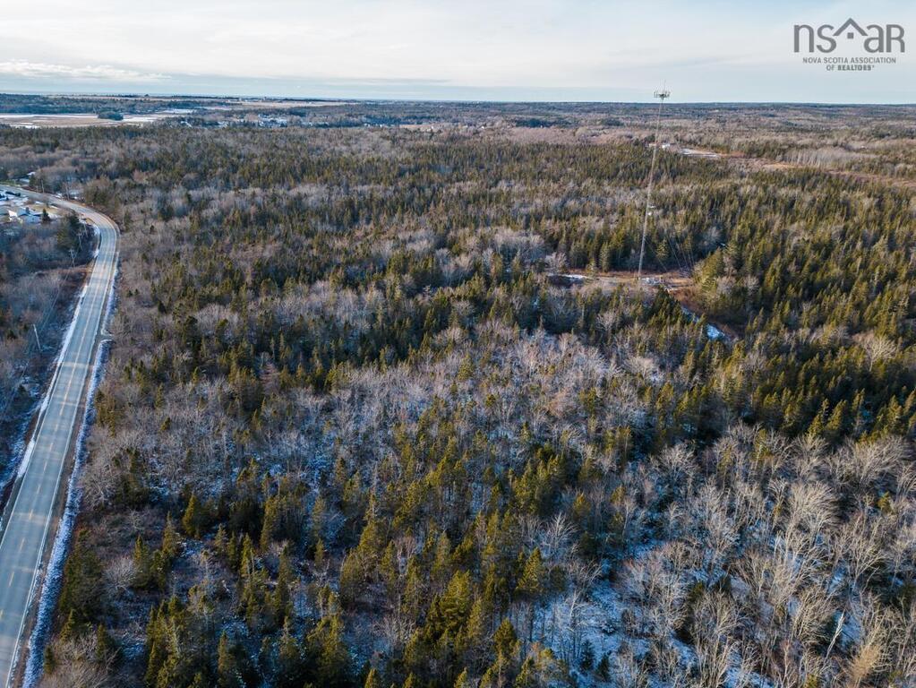 Lot Dominique Road, Arcadia - photo 2