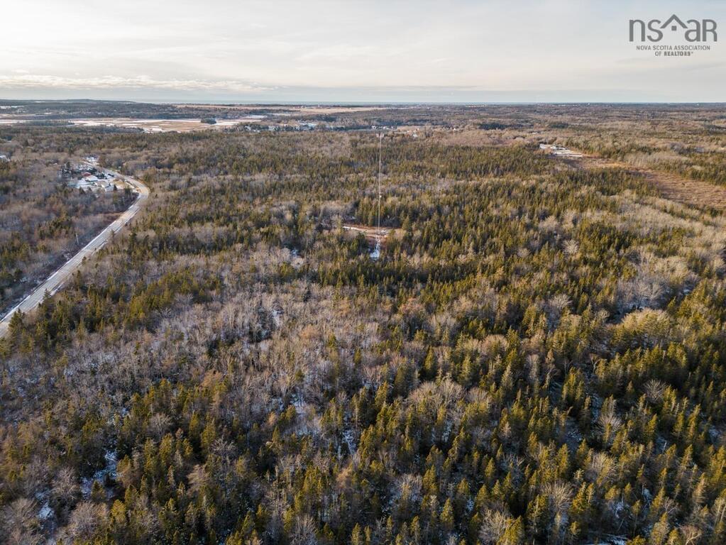 Lot Dominique Road, Arcadia - photo 4