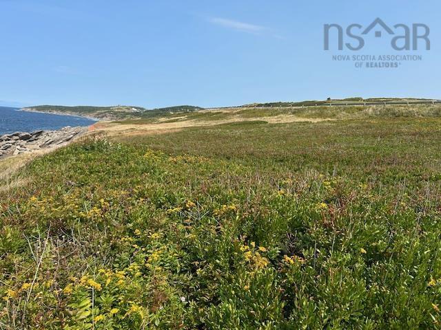  Cabot Trail, Cap Le Moine - photo 4