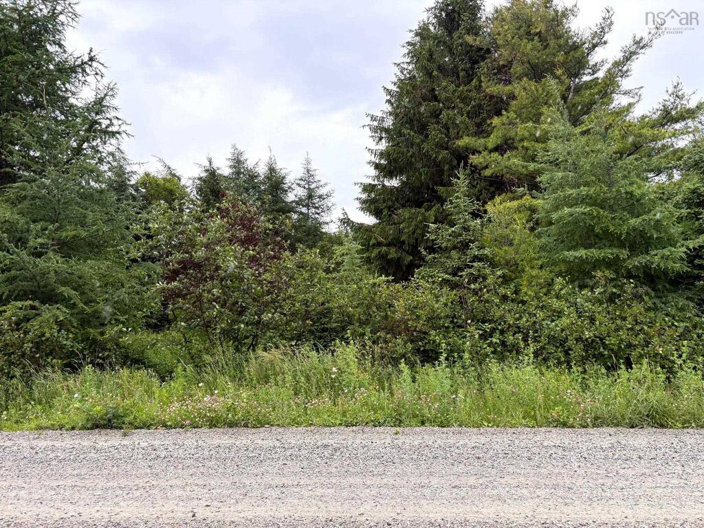  Upper Southwest Mabou Road, Glencoe Station