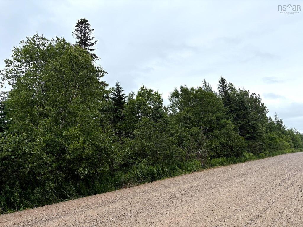  Upper Southwest Mabou Road, Glencoe Station - photo 2