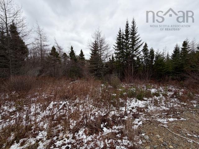 135 Spruce Drive, North East Point - photo 3