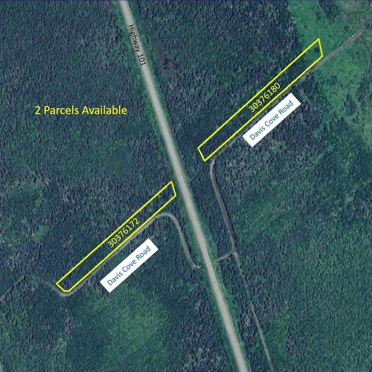  Davis Cove Road, Salmon River - photo 2