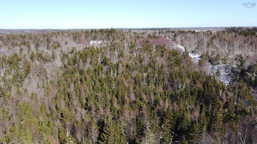  Davis Cove Road, Salmon River - photo 3