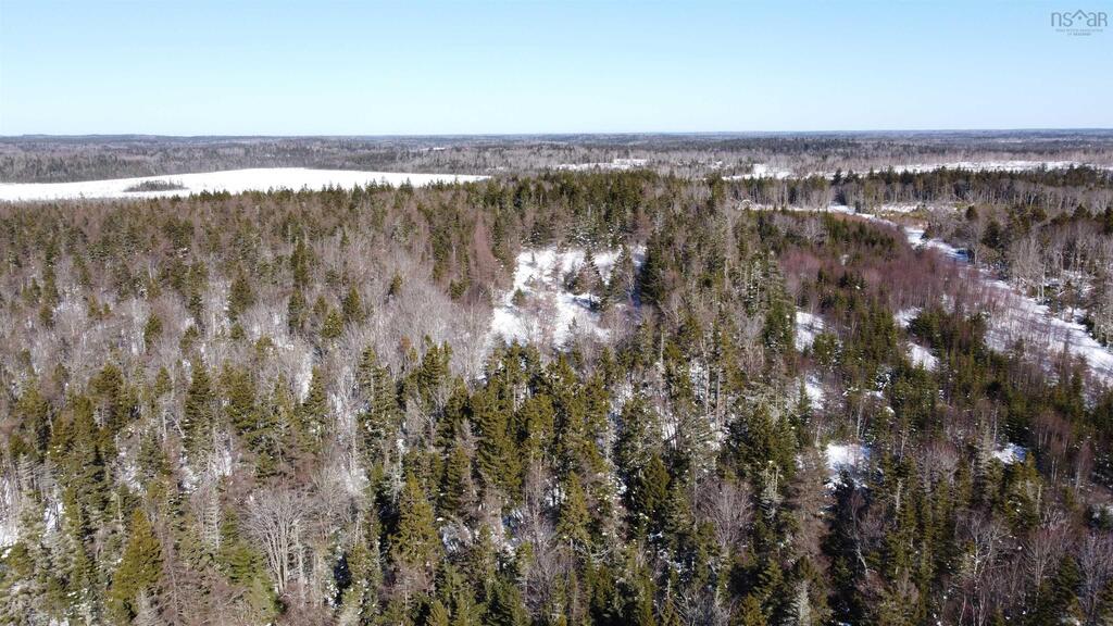  Davis Cove Road, Salmon River - photo 4