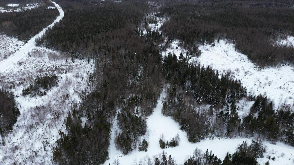  John D Macdonald Road, Judique South - photo 3