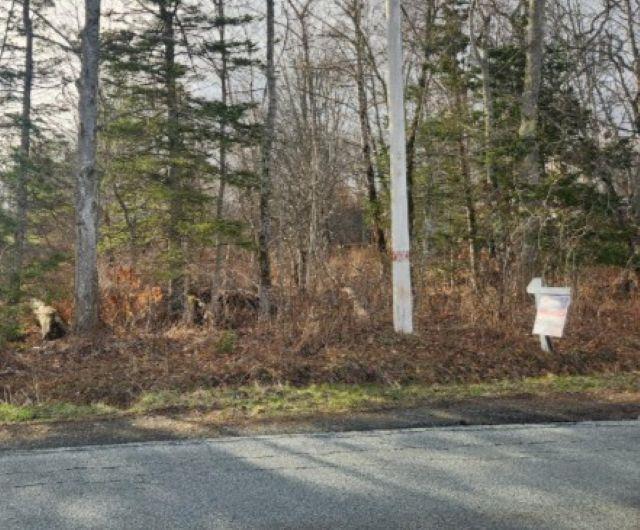 Unit 8  Cedar Road, Maitland - photo 2