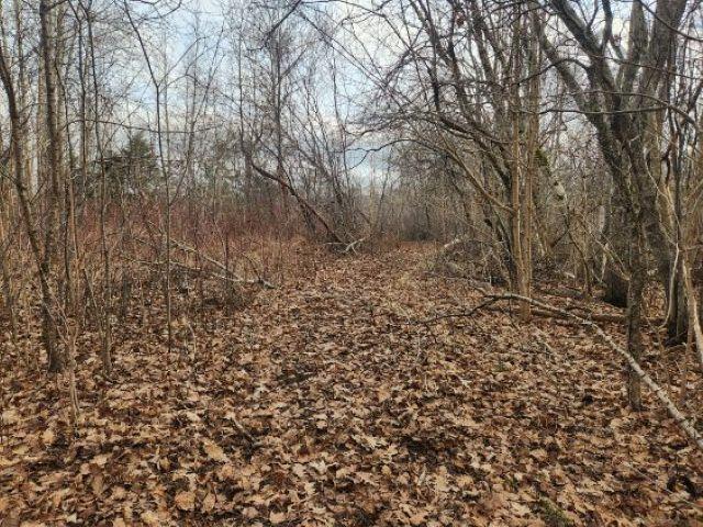 Unit 8  Cedar Road, Maitland - photo 3