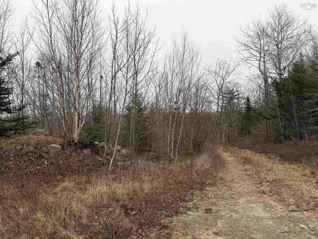 Lot 4 Port Clyde Road, Clyde River - photo 2