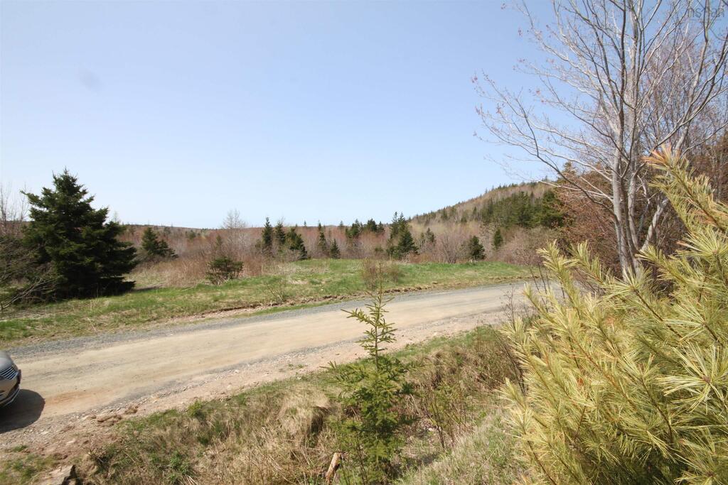 Lot 1 River Denys Mountain Road, Rear Judique