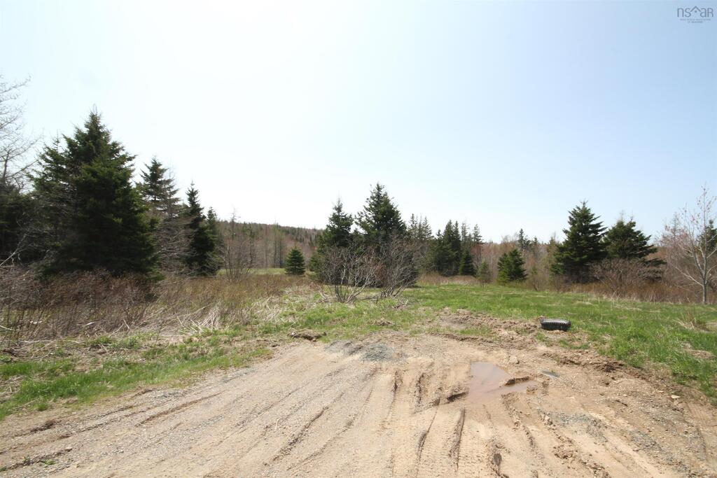 Lot 1 River Denys Mountain Road, Rear Judique - photo 2
