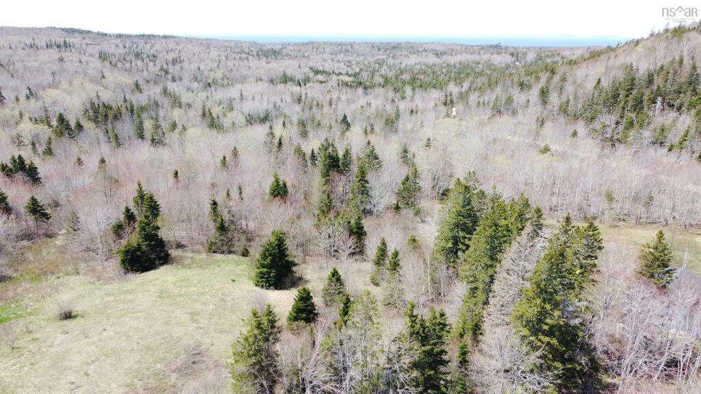 Lot 1 River Denys Mountain Road, Rear Judique - photo 4