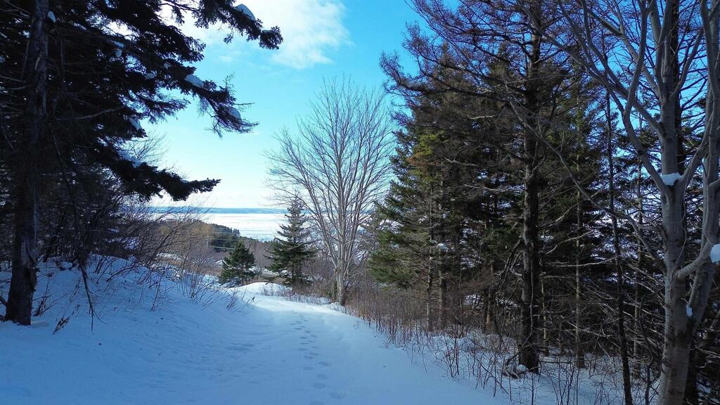 3166 Highway 19, Craigmore - photo 2