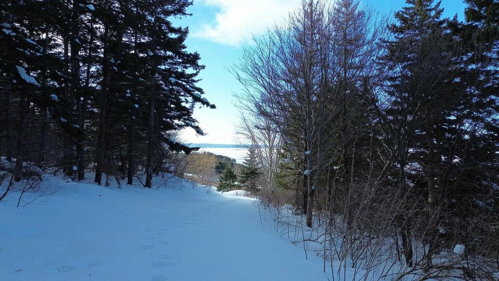 3166 Highway 19, Craigmore - photo 4