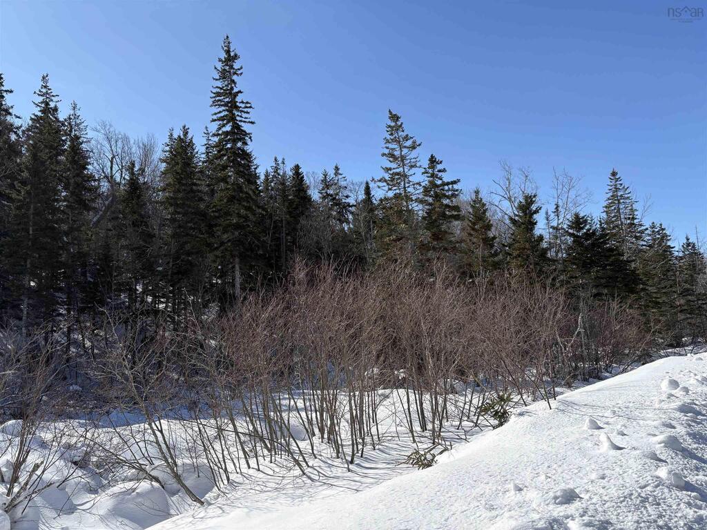  Highway 19, Dunvegan - photo 2