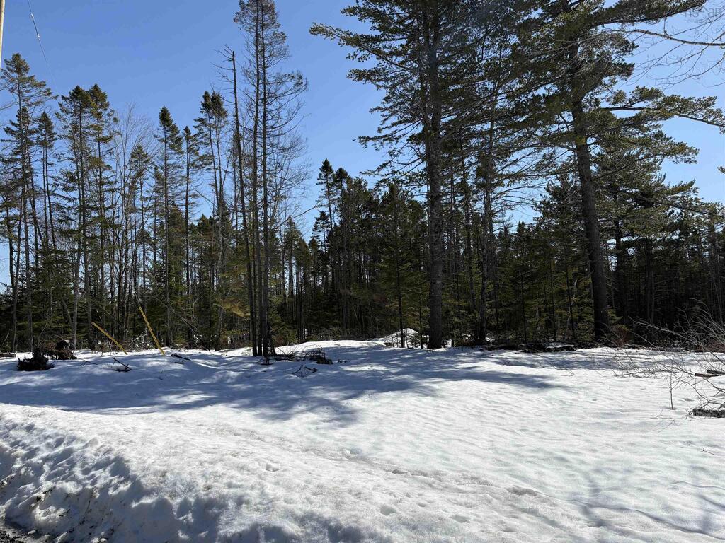 Unit 5  Renfrew Road, Nine Mile River