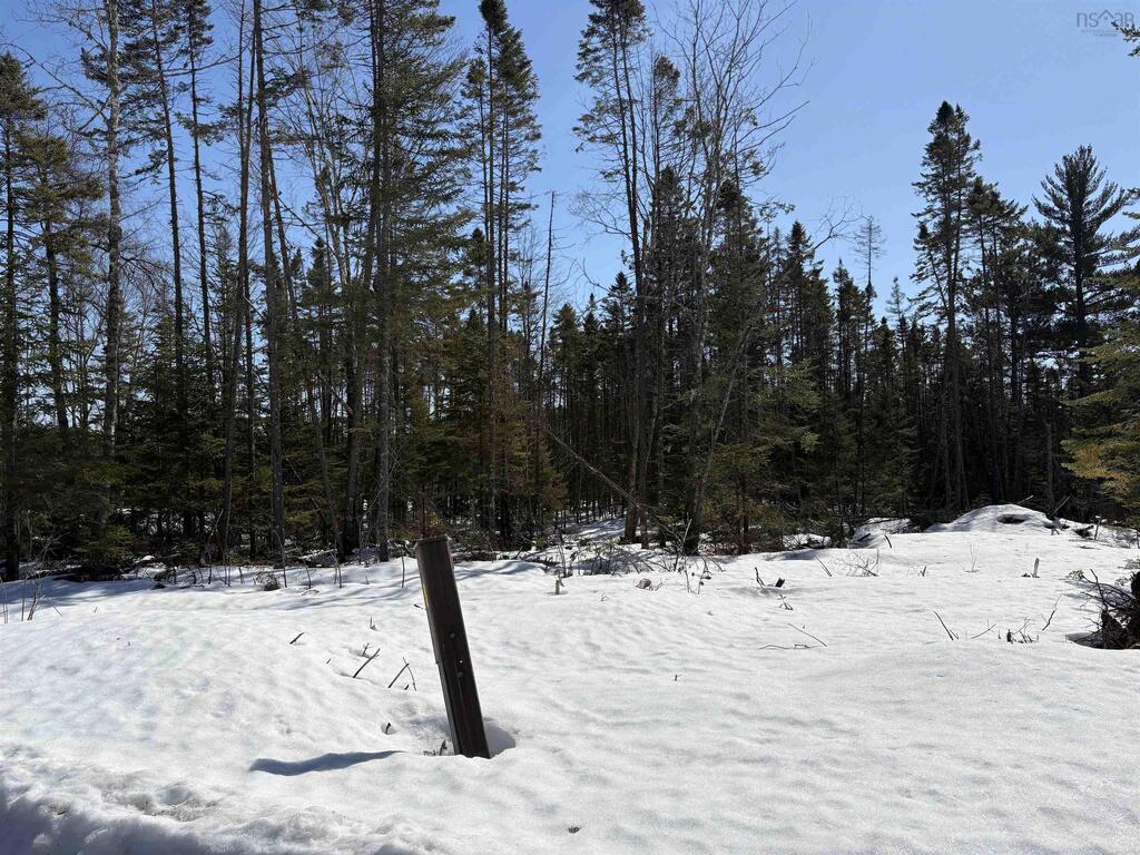 Unit 5  Renfrew Road, Nine Mile River - photo 2