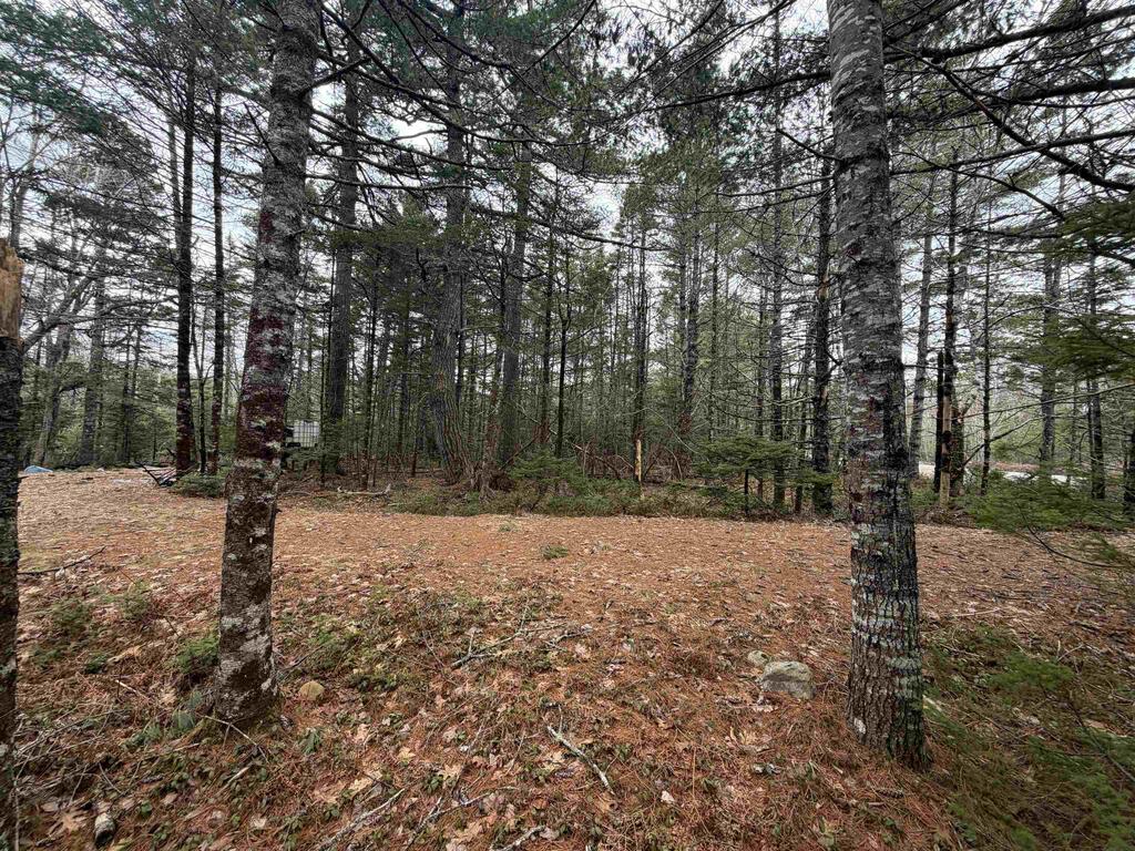 Lot 5 Upper Clyde Road, Upper Clyde River - photo 3