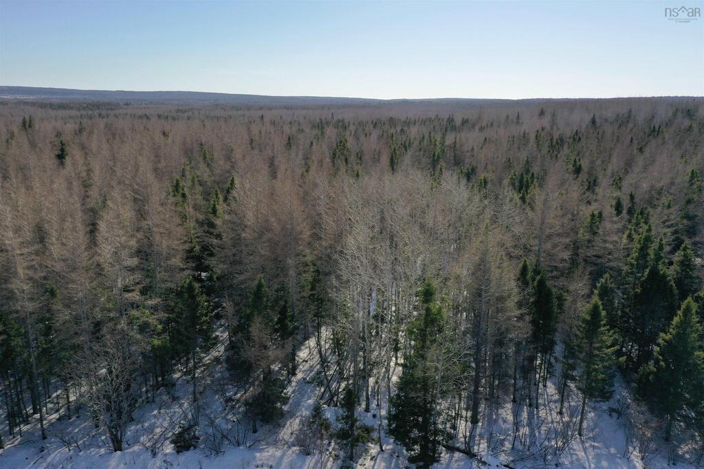 Lot 4d Whycocomagh-port Hood Road, Southwest Mabou - photo 3