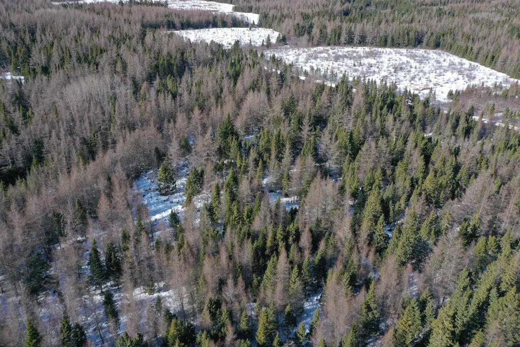 Lot 4e Whycocomagh-port Hood Road, Southwest Mabou - photo 4