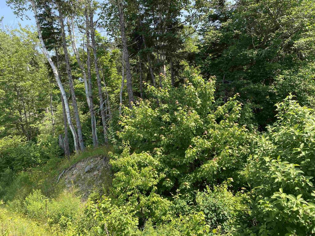  Cabot Trail, Tarbot - photo 2