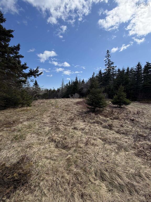 Lot Dj-1 Stoney Island Road, Stoney Island - photo 2