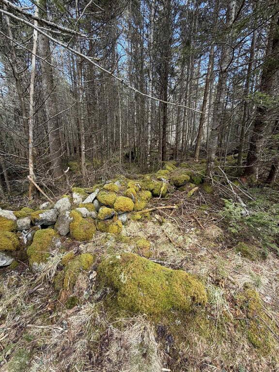 Lot Dj-1 Stoney Island Road, Stoney Island - photo 4