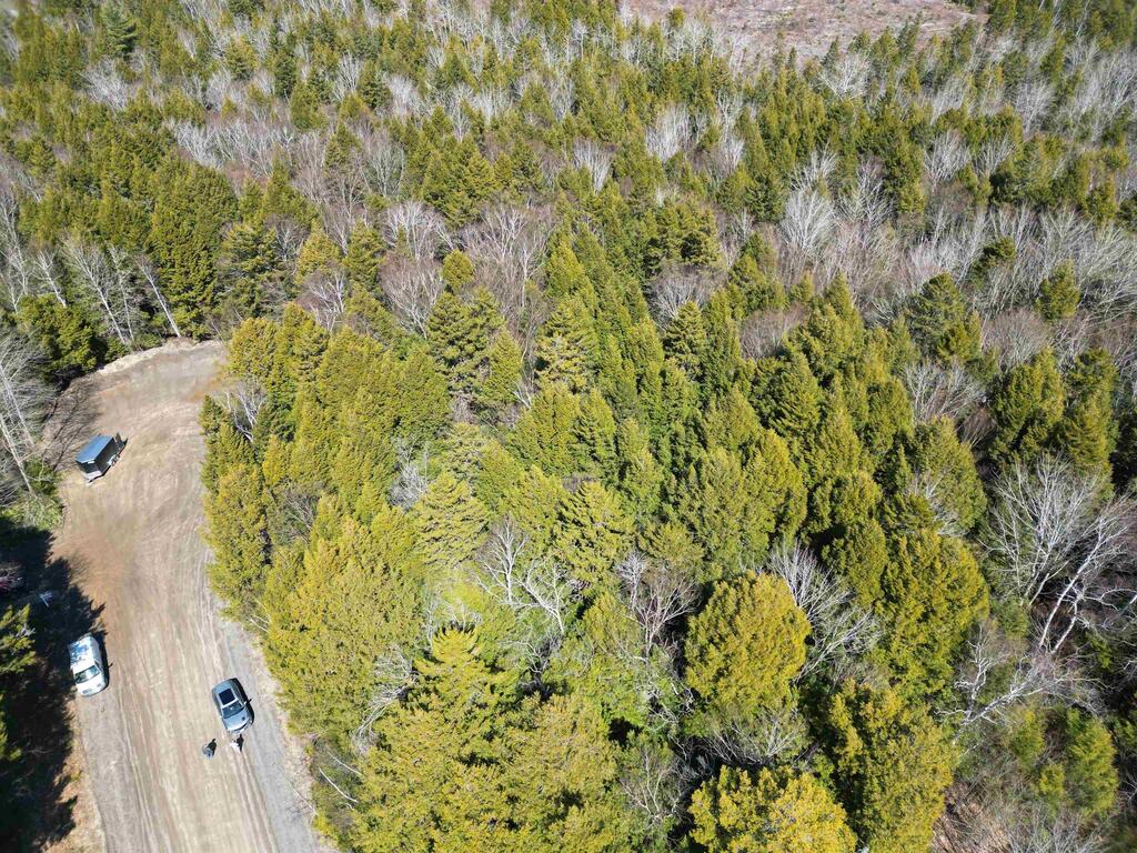 Lot 25-3 Main Street, Gore