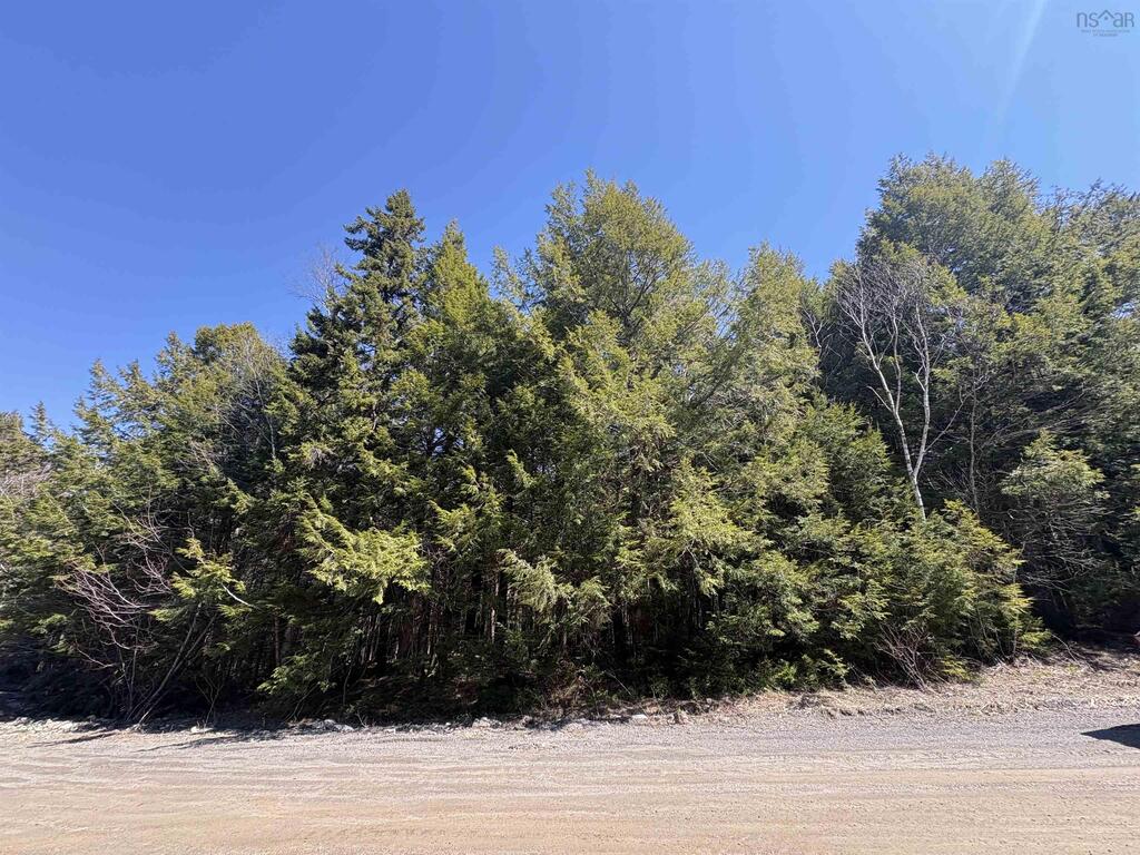 Lot 25-3 Main Street, Gore - photo 3