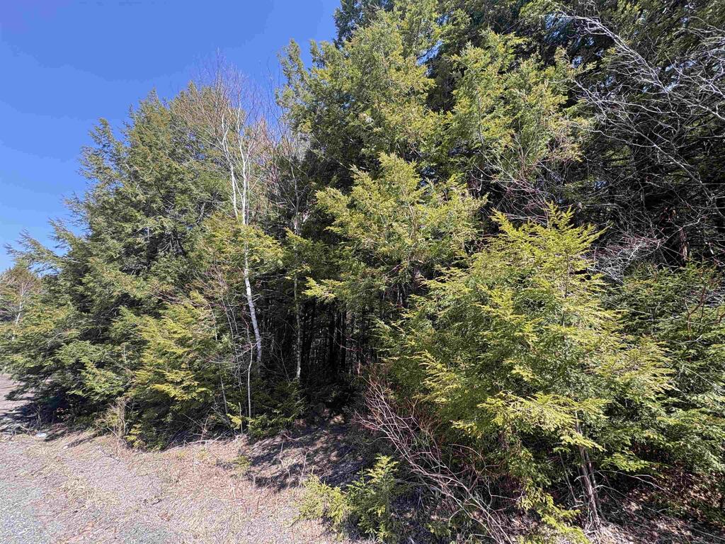 Lot 25-3 Main Street, Gore - photo 4