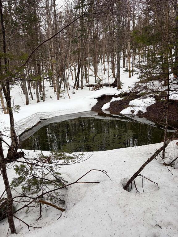 594 Whycocomagh Mountain Rd, Whycocomagh - photo 2