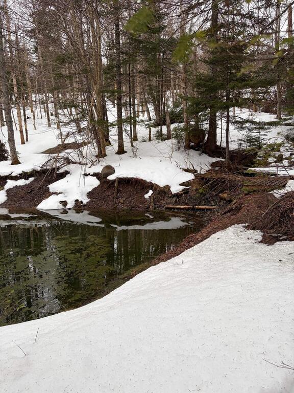 594 Whycocomagh Mountain Rd, Whycocomagh - photo 3