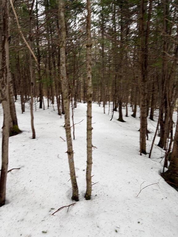 594 Whycocomagh Mountain Rd, Whycocomagh - photo 4