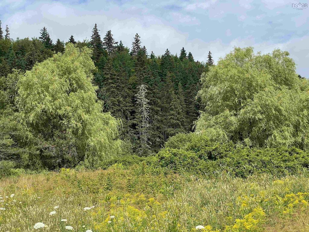 233ac Meagher Road, Hays River - photo 2